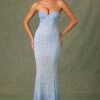 Embellished Sweetheart-Neck Fishtail Gown in Sky Blue